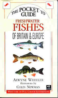 Imagen de archivo de Freshwater Fishes of Britain and Europe (Compact Guides series) a la venta por AwesomeBooks