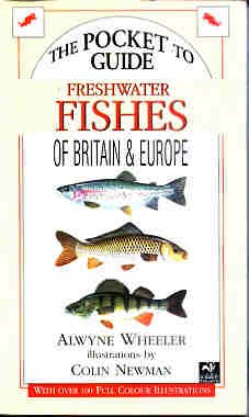 Stock image for Freshwater Fishes of Britain and Europe (Compact Guides series) for sale by AwesomeBooks