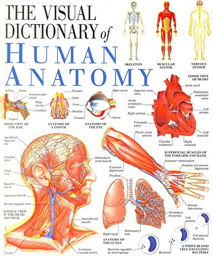 Stock image for The Visual Dictioinary of Human Anatomy for sale by Ryde Bookshop Ltd