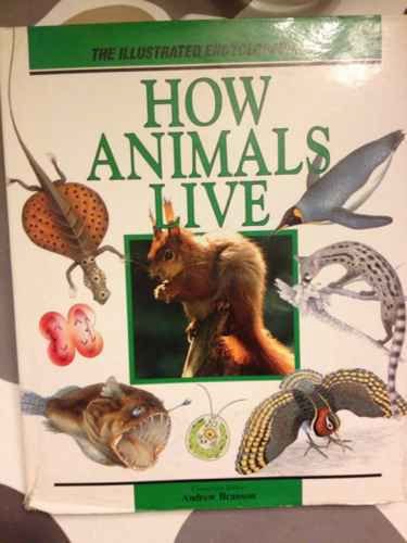 Beispielbild fr Illustrated Encyclopedia of How Animals Live zum Verkauf von WorldofBooks