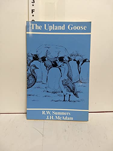 9781871999051: The upland goose: A study of the interaction between geese, sheep and man in the Falkland Islands