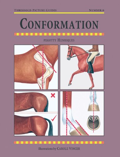 9781872082226: Conformation (Threshold Picture Guides)