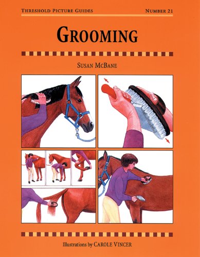 Beispielbild fr Grooming (Threshold Picture Guide) zum Verkauf von AwesomeBooks