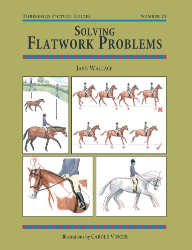 Stock image for Solving Flatwork Problems (Threshold Picture Guide) for sale by Reuseabook