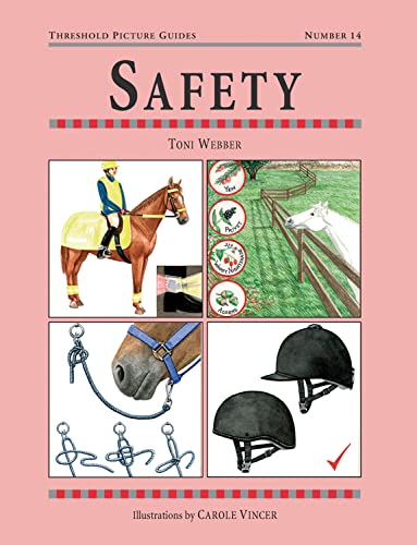 Beispielbild fr Safety (Threshold Picture Guide) zum Verkauf von AwesomeBooks