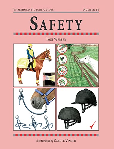 Stock image for Safety (Threshold Picture Guide) for sale by Goldstone Books