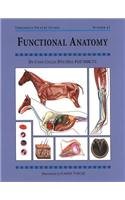 Stock image for Functional Anatomy (Threshold Picture Guide 43) for sale by WorldofBooks