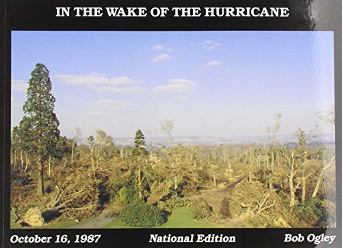 Beispielbild fr In the Wake of the Hurricane zum Verkauf von WorldofBooks