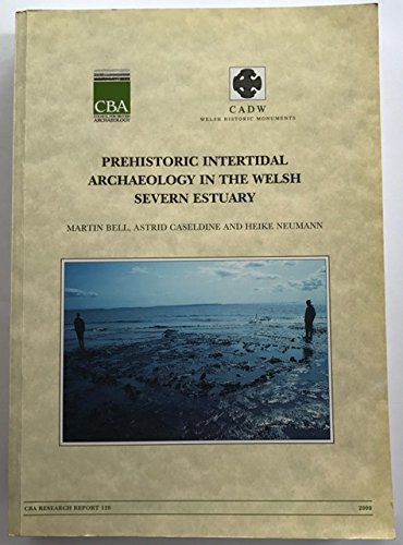 Prehistoric Intertidal Archaeology in the Welsh Severn Estuary (CBA Research Report) (9781872414119) by Bell, M.