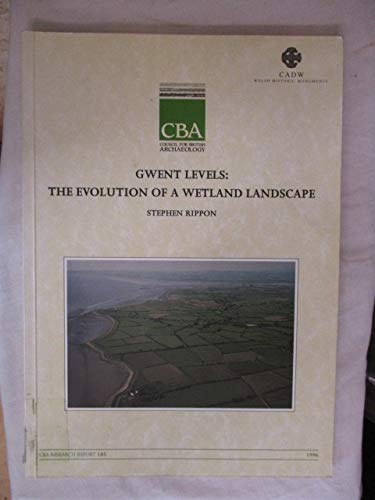 9781872414638: The Gwent Levels: The evolution of a wetland landscape (CBA research report)