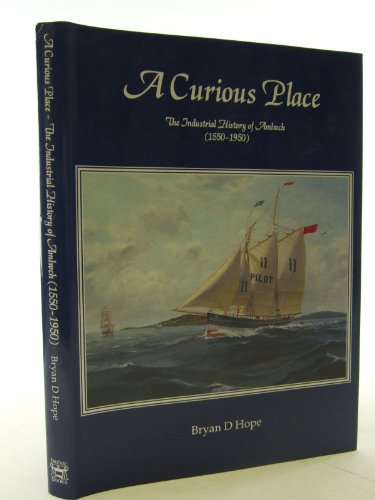 A curious place: the industrial history of Amlwch (1550-1950)