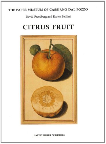 Citrus Fruit (Paper Museum of Cassiano Dal Pozzo) (9781872501888) by Freedberg, David; Baldini, Enrico