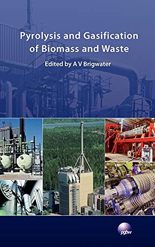 Imagen de archivo de Pyrolysis and Gasification of Biomass and Waste a la venta por Ria Christie Collections