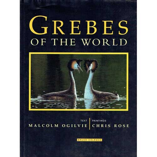 Imagen de archivo de Grebes of the World a la venta por WorldofBooks