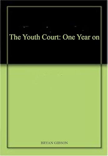 9781872870144: The Youth Court: One Year on