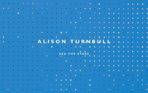 Stock image for Alison Turnbull: Sea the Stars for sale by Joseph Burridge Books