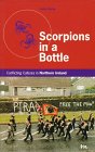 Stock image for Scorpions in a Bottle : Ethnic Conflict in Northern Ireland for sale by Better World Books