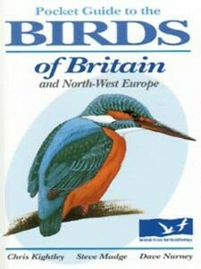 Beispielbild fr Pocket Guide to the Birds of Britain and North-west Europe zum Verkauf von WorldofBooks