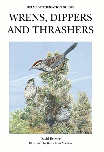 Stock image for Wrens, Dippers and Thrashers (Helm Identification Guides) for sale by Aardvark Rare Books