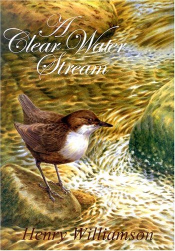 Beispielbild fr A Clear Water Stream zum Verkauf von AwesomeBooks