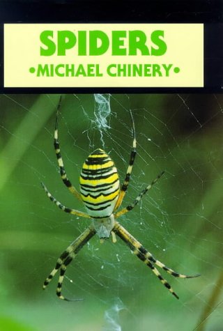 Stock image for Spiders for sale by Better World Books