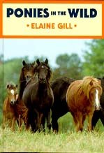 Imagen de archivo de Ponies in the Wild (British Natural History Series) a la venta por WorldofBooks