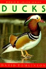 Beispielbild fr Ducks (World Wildlife S.) zum Verkauf von WorldofBooks