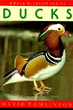 Stock image for Ducks (World Wildlife S.) for sale by WorldofBooks