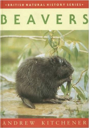 Beavers - Kitchener, Andrew