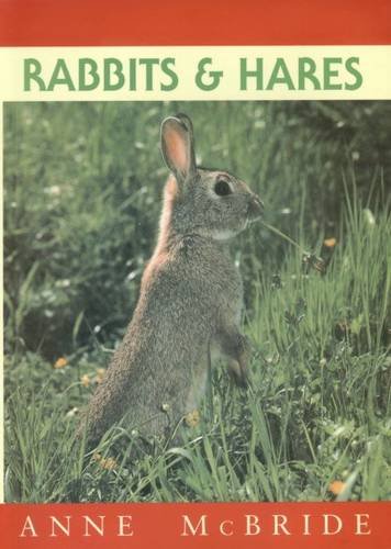Beispielbild fr Rabbits and Hares zum Verkauf von MusicMagpie