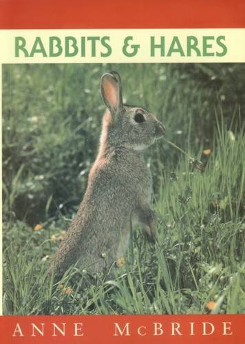 9781873580639: Rabbits and Hares