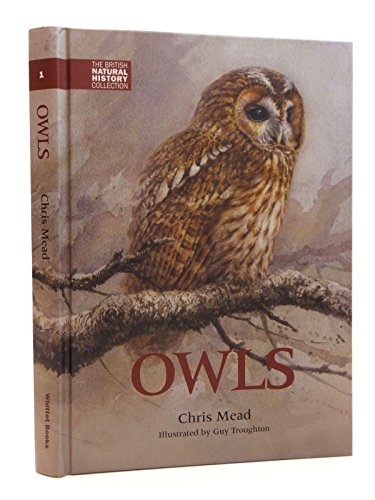 Stock image for Owls BNHC Vol1 The British Natural History Collection for sale by PBShop.store US