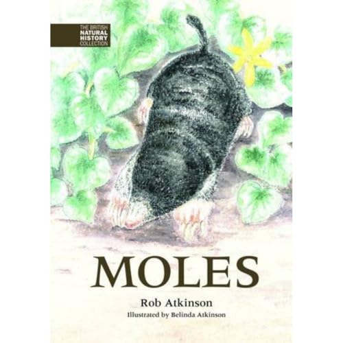 Stock image for Moles BNHC Vol3 The British Natural History Collection for sale by PBShop.store US