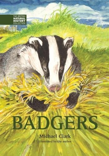 Stock image for Badgers for sale by Blackwell's
