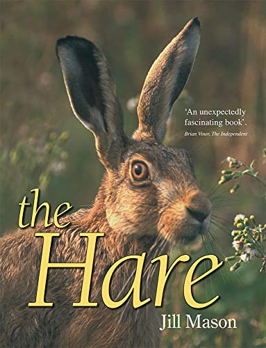 Imagen de archivo de The Hare a la venta por Goldstone Books