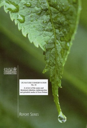9781873701645: A Review of the Scarce and Threatened Ethmiine Stathmopodine and Gelechiid Moths of Great Britain: 16 (UK Nature Conservation Series)