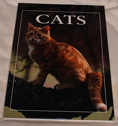 Stock image for The World of Cats for sale by Reuseabook