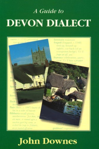 Stock image for A Guide to Devon Dialect for sale by More Than Words