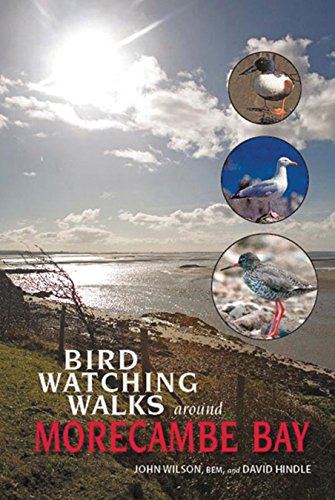 9781874181378: Birdwatching Walks Around Morecambe Bay