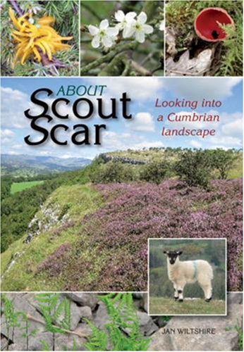 Stock image for About Scout Scar: Looking into a Cumbrian Landscape for sale by WorldofBooks