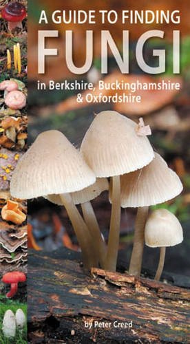 Beispielbild fr A Guide to Finding Fungi in Berkshire, Buckinghamshire and Oxfordshire zum Verkauf von WorldofBooks