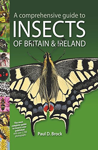 Beispielbild fr A Comprehensive Guide to Insects of Britain and Ireland zum Verkauf von WorldofBooks