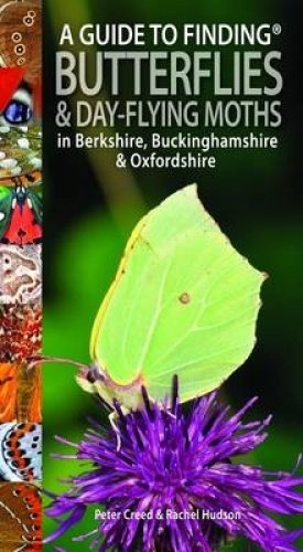 Imagen de archivo de A Guide to Finding Butterflies and Day-Flying Moths in Berkshire, Buckinghamshire and Oxfordshire a la venta por Reuseabook