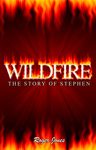 Imagen de archivo de Wildfire: The Story of Stephen a la venta por Brit Books