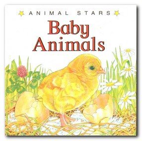 Beispielbild fr Baby Animals zum Verkauf von AwesomeBooks