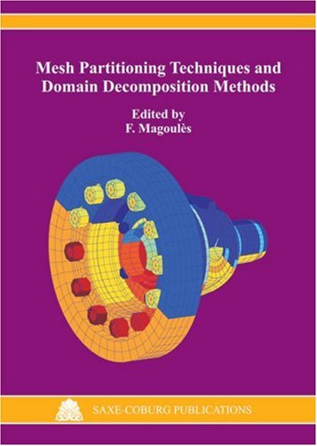 Stock image for Mesh Partitioning Techniques and Domain Decomposition Methods for sale by Ammareal