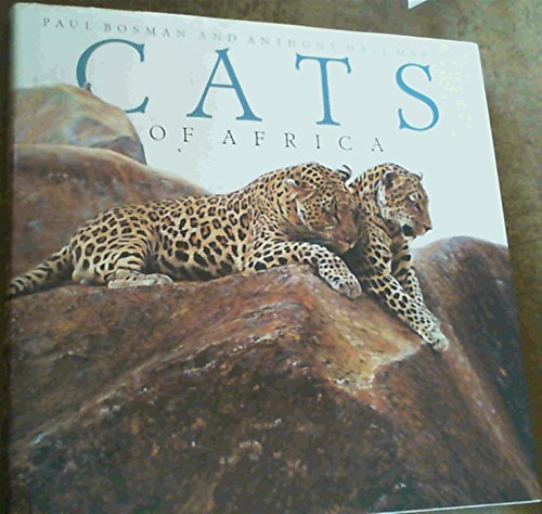 9781874950240: Cats of Africa