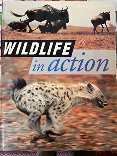 Imagen de archivo de Wildlife In Action. a la venta por AwesomeBooks