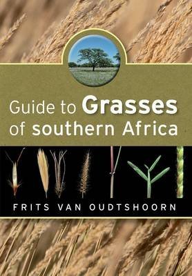 Beispielbild fr Guide to the Grasses of Southern Africa zum Verkauf von dsmbooks