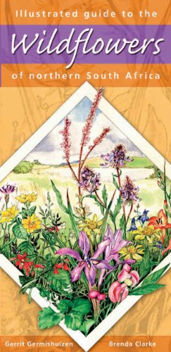 Imagen de archivo de Illustrated Guide to Wildflowers of Northern South Africa a la venta por Blackwell's